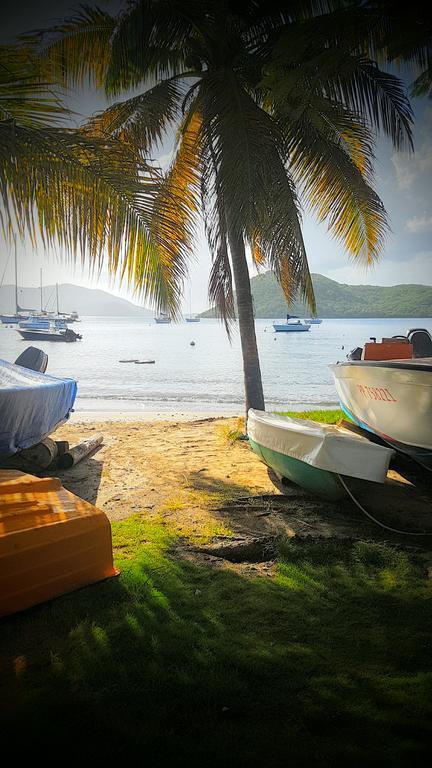 فيلا Location Marigot تير-دي-هوت المظهر الخارجي الصورة