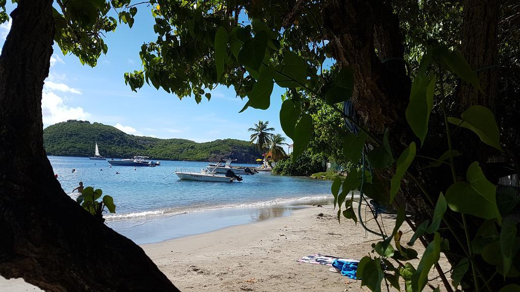 فيلا Location Marigot تير-دي-هوت المظهر الخارجي الصورة